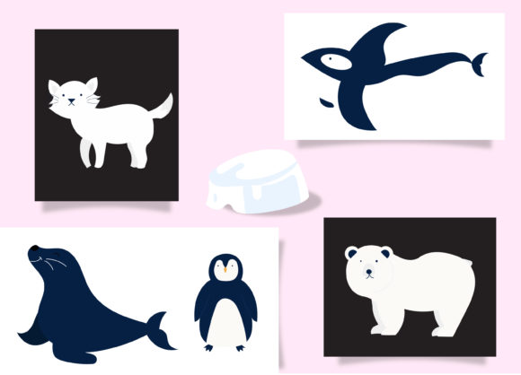 Download Arctic Animal Set Bundle&nbsp; - Set Collection