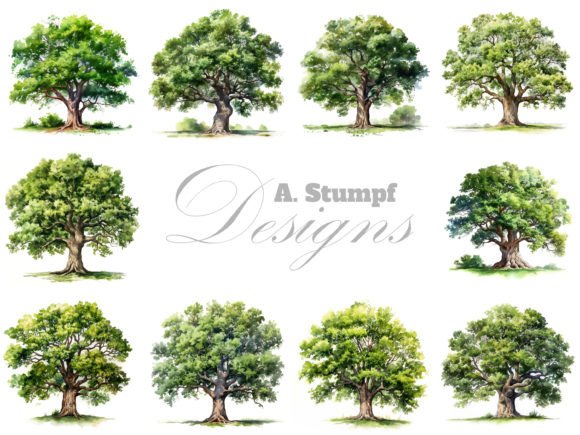 Download Oak Tree Watercolor Clipart Set - Set Collection