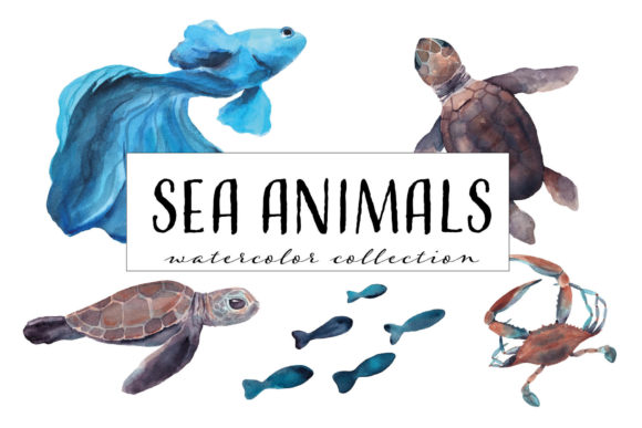 Download Sea Animals Watercolor Collection - Premium Resources