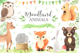 Download Watercolor Woodland Animals Set - Set Collection
